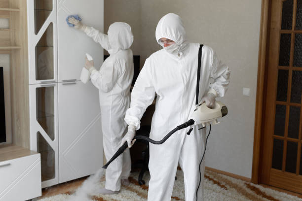 Affordable Sewage Cleanup solutions in California Hot Springs, CA